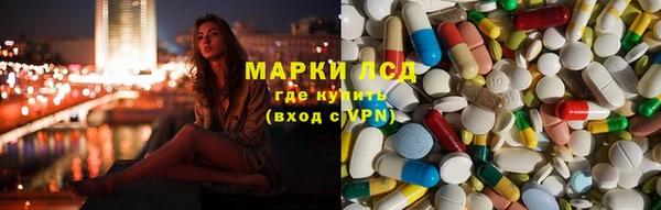 крисы Мегион