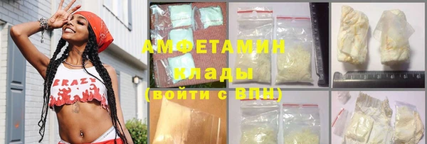 крисы Мегион