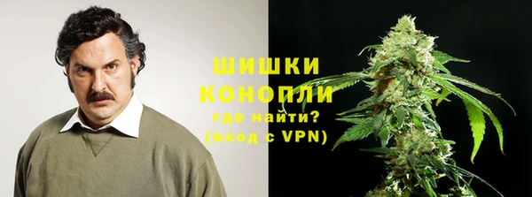 стафф Михайловск