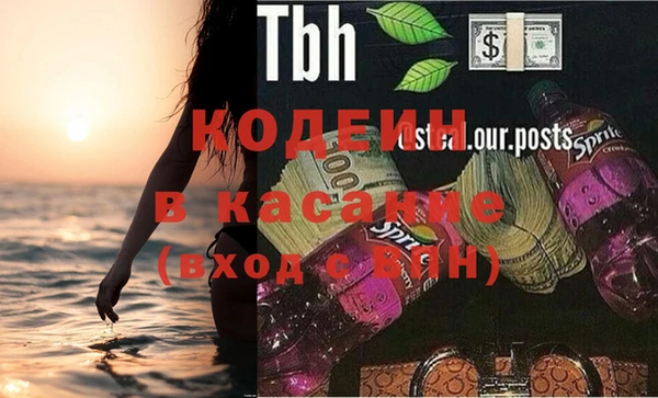 крисы Мегион