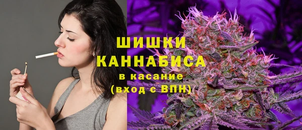 крисы Мегион