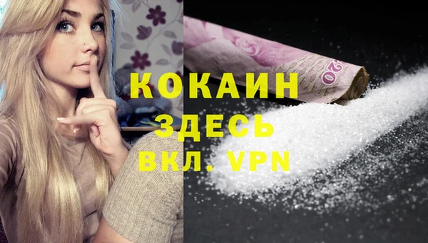 стафф Михайловск