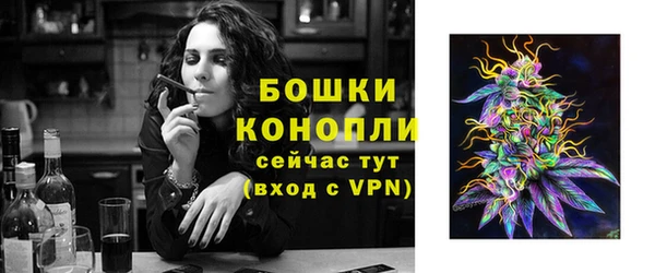 крисы Мегион